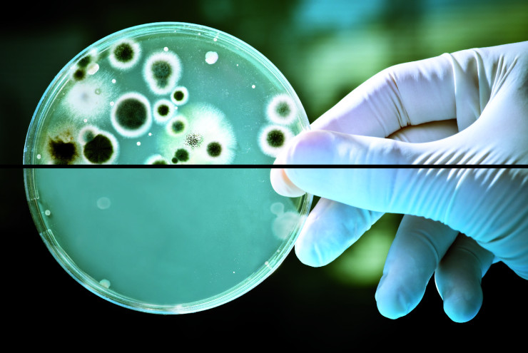 HGC MEDICAL