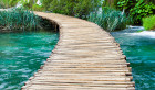 Wood Bridge